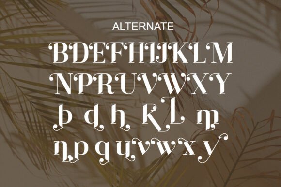 Febisyer Font PNG with transparent background - Preview 6