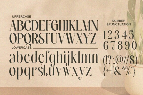 Novera Balessa Font PNG with transparent background - Preview 5