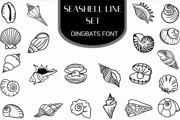 Seashell Line Set
