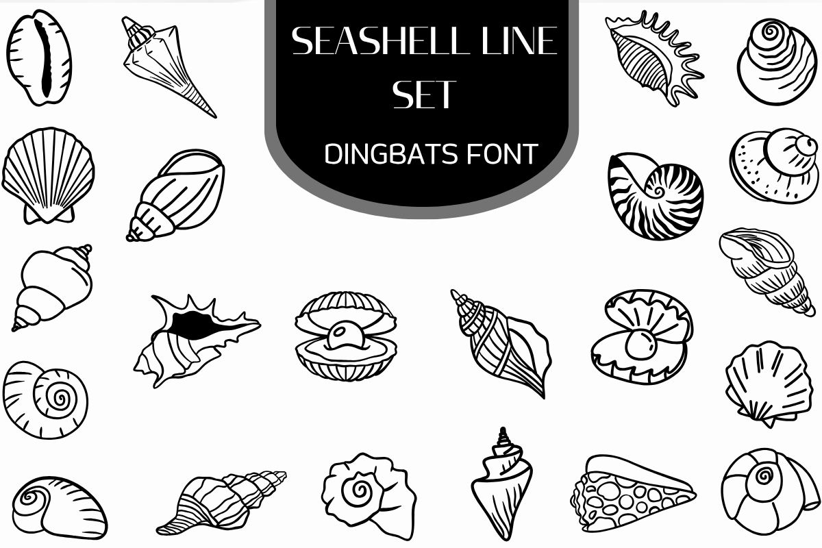 Seashell Line Set