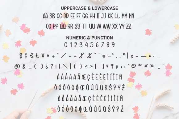 Season Grateful Font PNG with transparent background - Preview 6