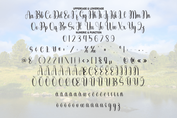 Beautiful Font - Preview 6