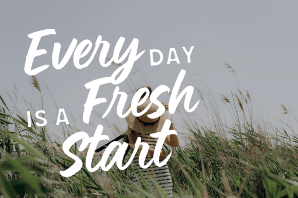 Carmila Brush Font - Preview 3