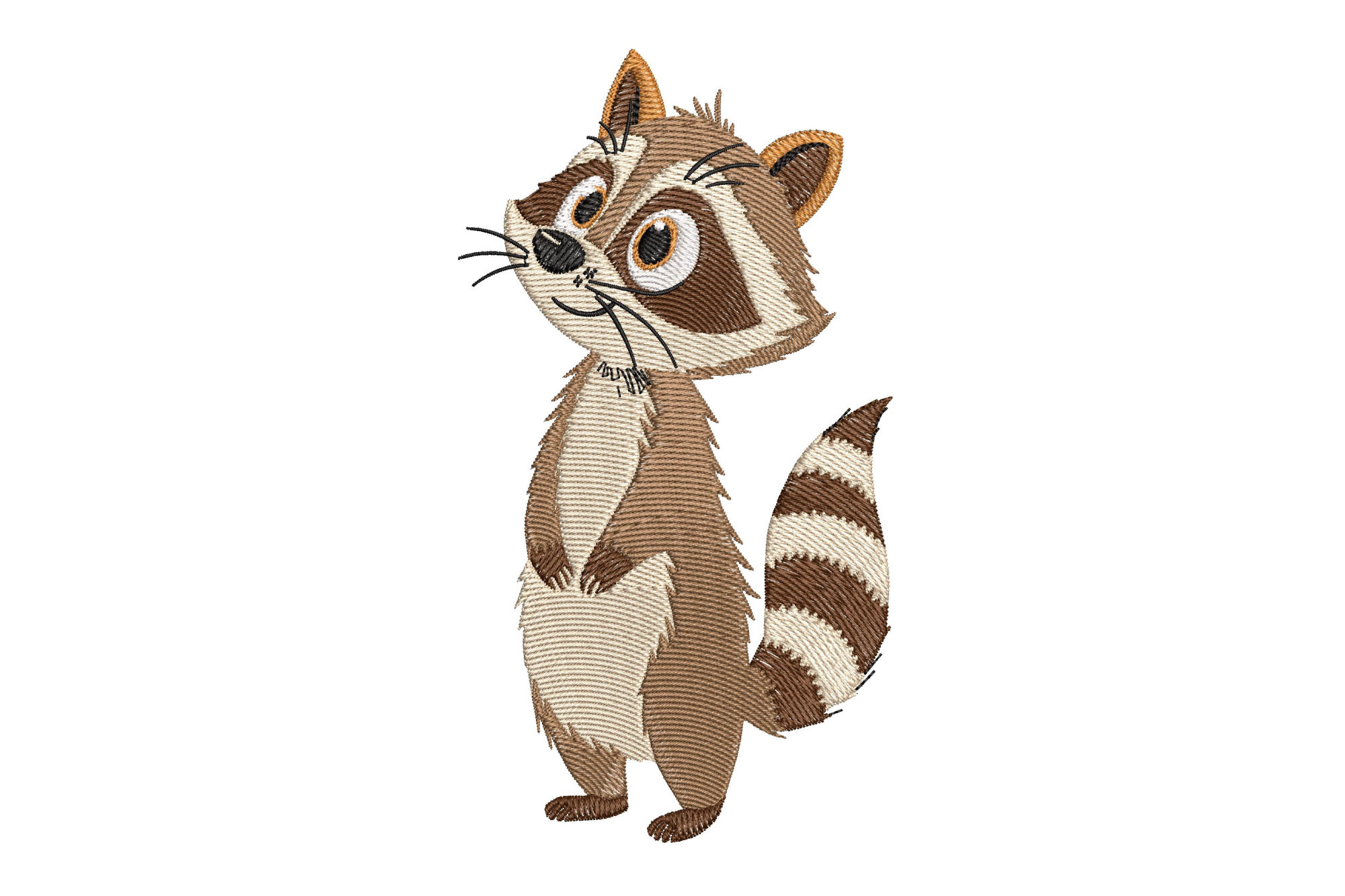 Cute Raccoon