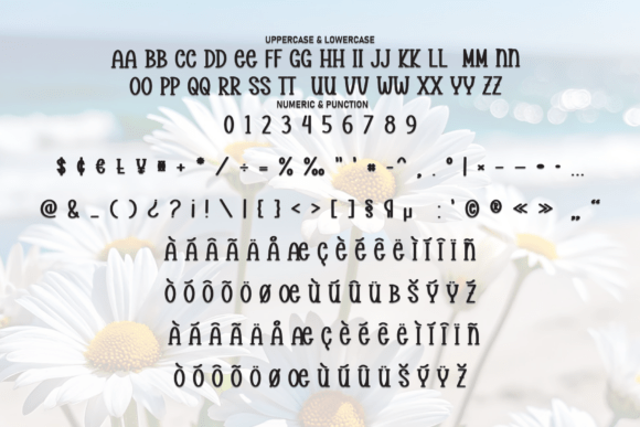 Daisy Beach Font - Preview 6