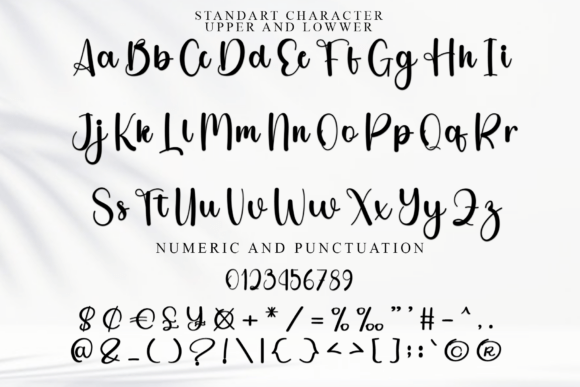 Christmas California Font - Preview 5