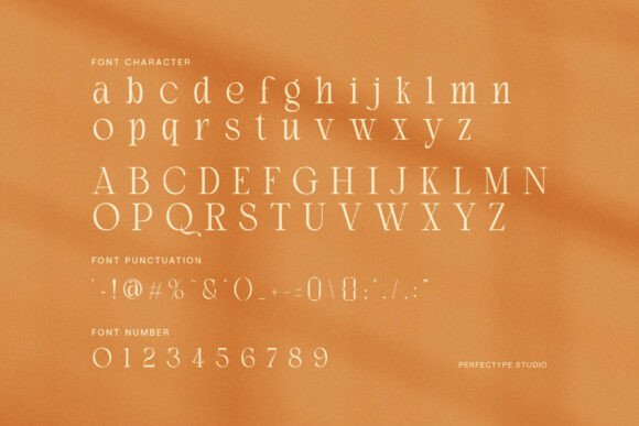 Damon Font - Preview 6