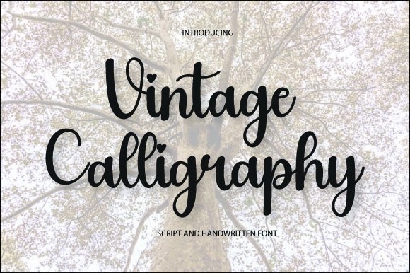 Vintage Calligraphy
