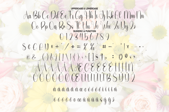 Aghata Font - Preview 6