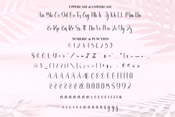 Beauty Font - Preview 6