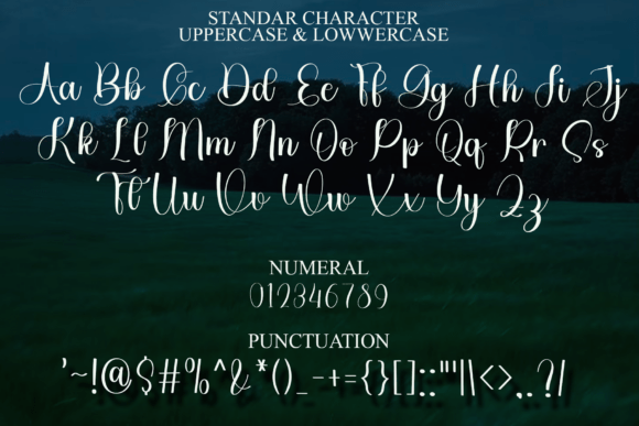 Christy Wishes Font - Preview 6