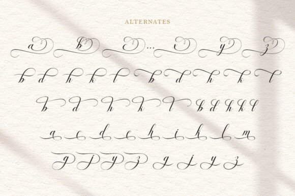 Enchanting Calligraphy Font - Preview 6