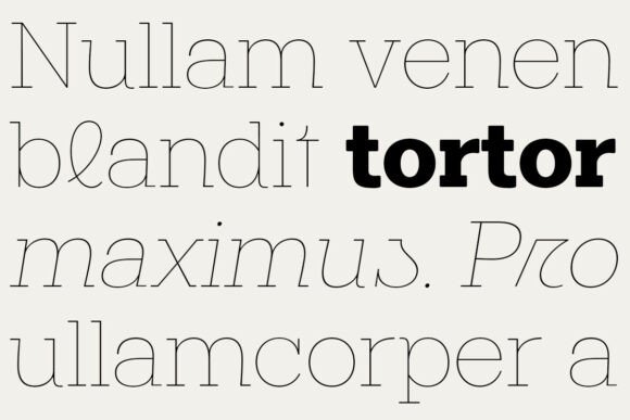 Midles Slab Font PNG with transparent background - Preview 4