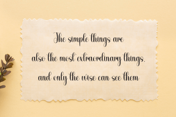 Book Silhouette Font - Preview 4