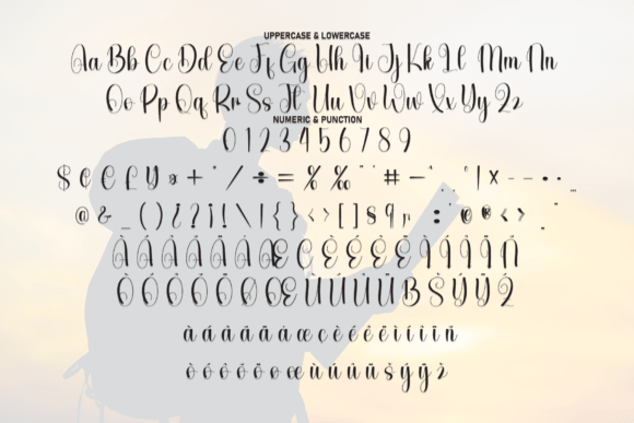 Book Silhouette Font - Preview 6