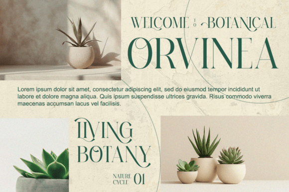 Sesbania Font PNG with transparent background - Preview 2