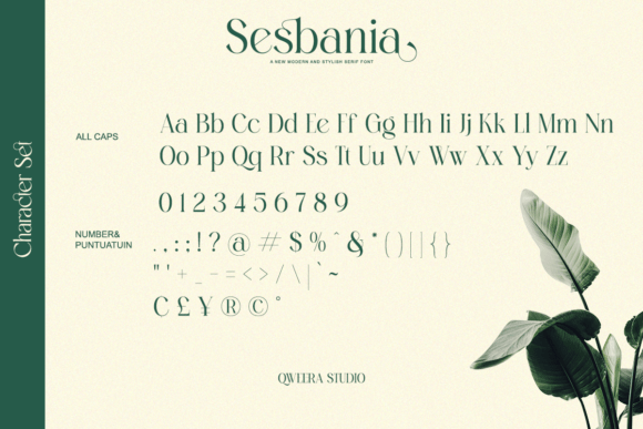 Sesbania Font PNG with transparent background - Preview 6