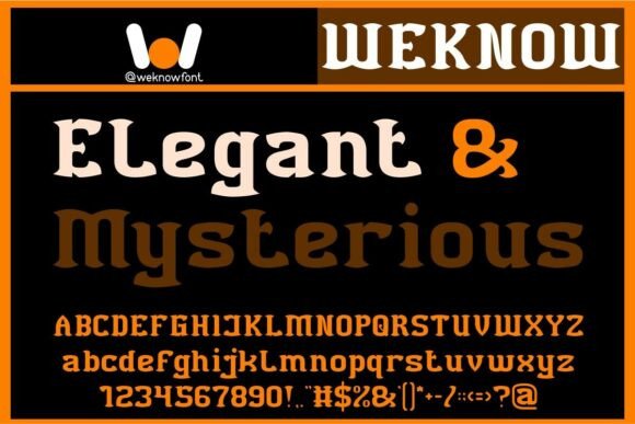 Black Bird Font - Preview 1