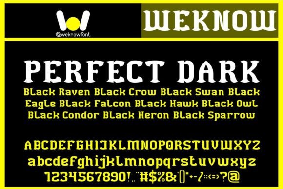 Black Bird Font - Preview 2