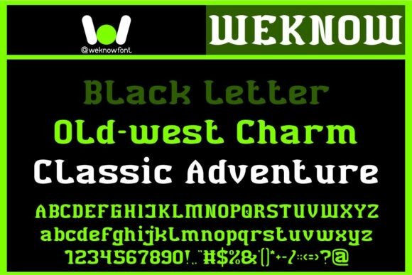 Black Bird Font - Preview 3