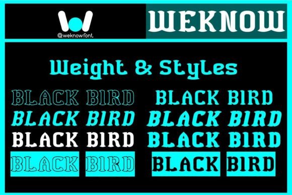 Black Bird Font - Preview 6