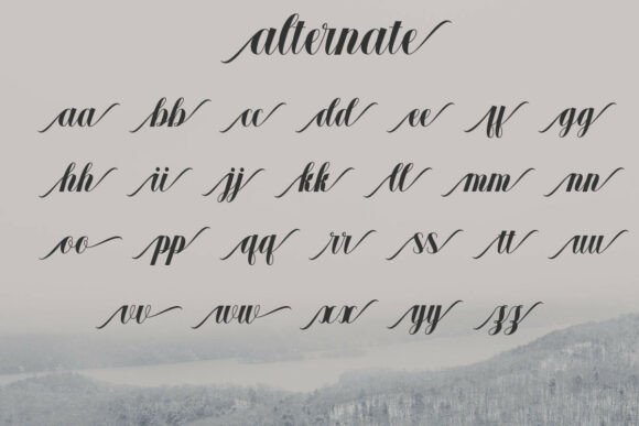Elarine Font - Preview 3