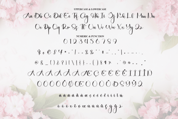 Agatha Font - Preview 6