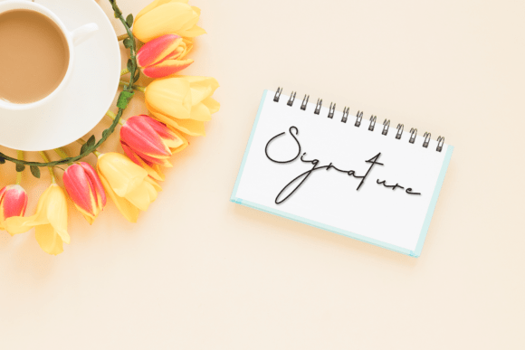 Calina Font - Preview 3