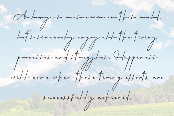 Calina Font - Preview 5