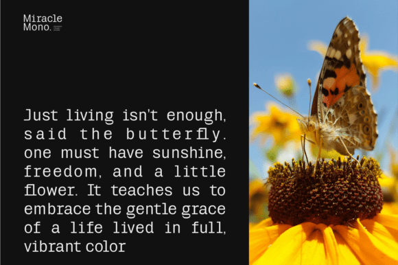 Miracle Mono Font PNG with transparent background - Preview 5