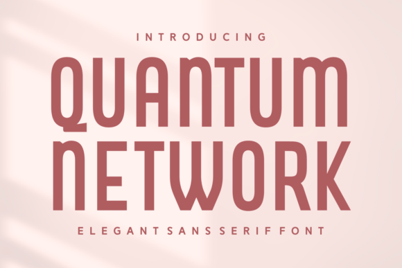 Quantum Network