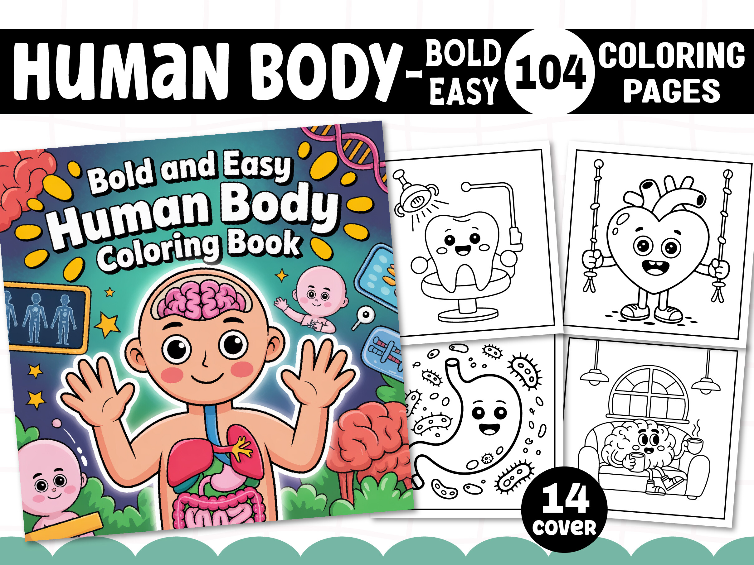 Bold and Easy Human Body Coloring Book