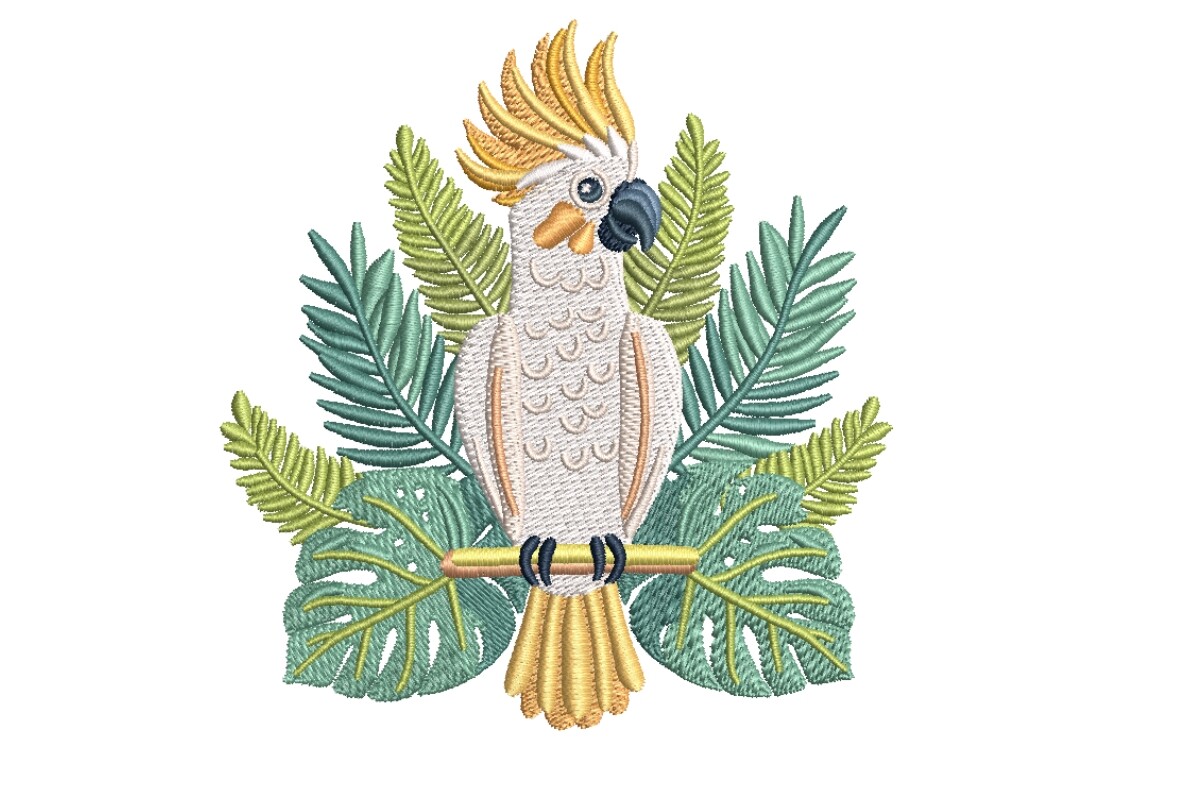 Cockatoo
