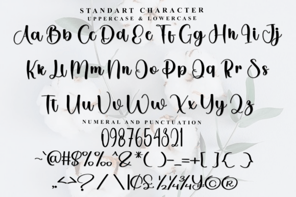 Daisy Anything Font PNG with transparent background - Preview 3