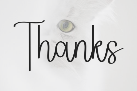 Family Autography Font - Preview 4