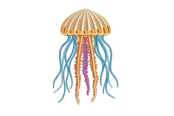 Jellyfish
