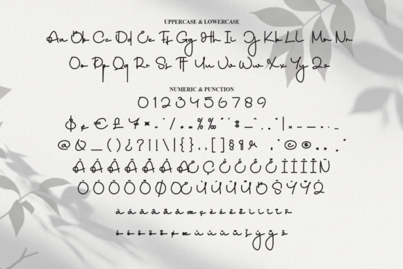 Ananta Font PNG with transparent background - Preview 6