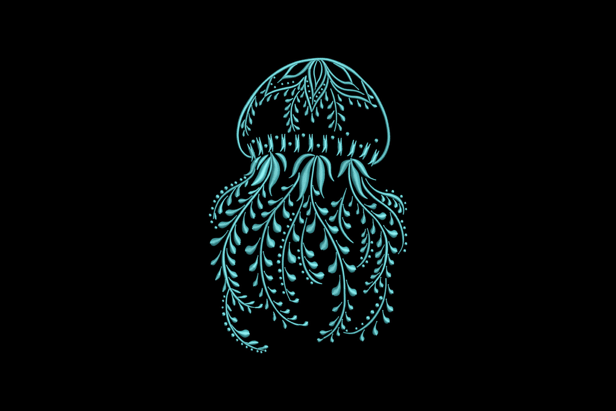 Jellyfish