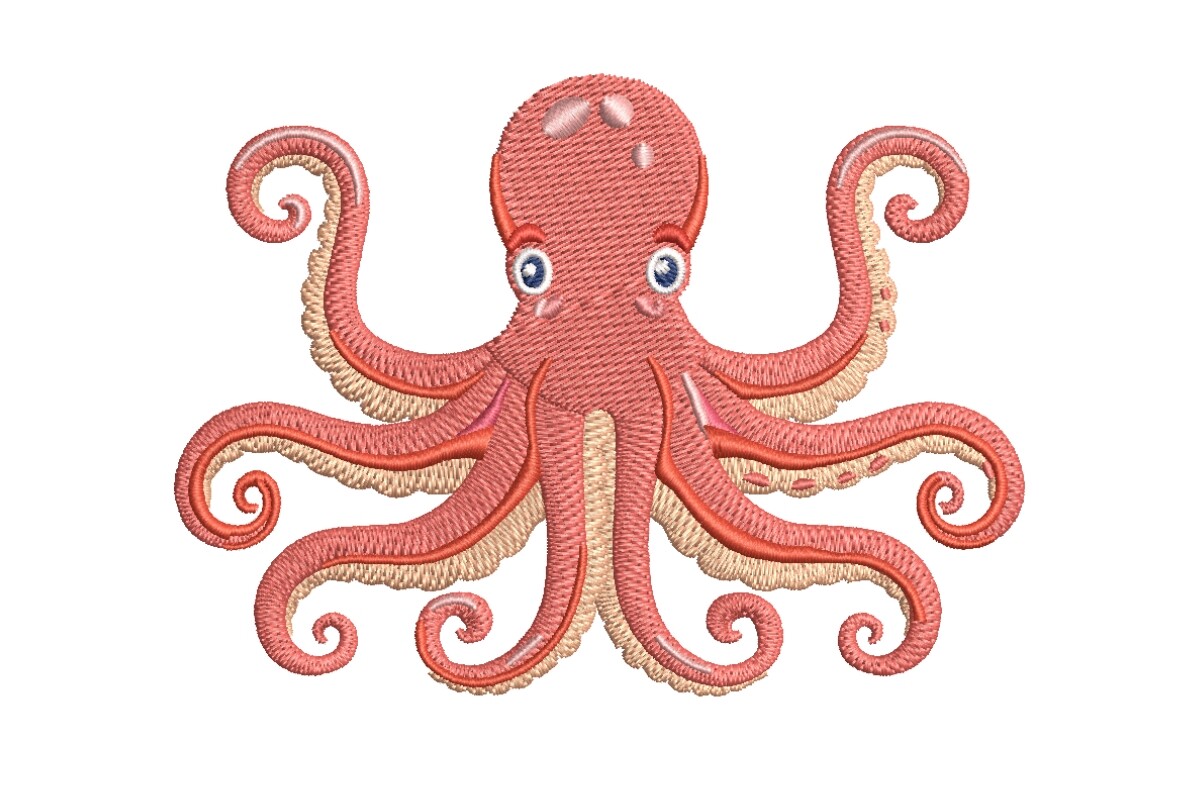 Octopus