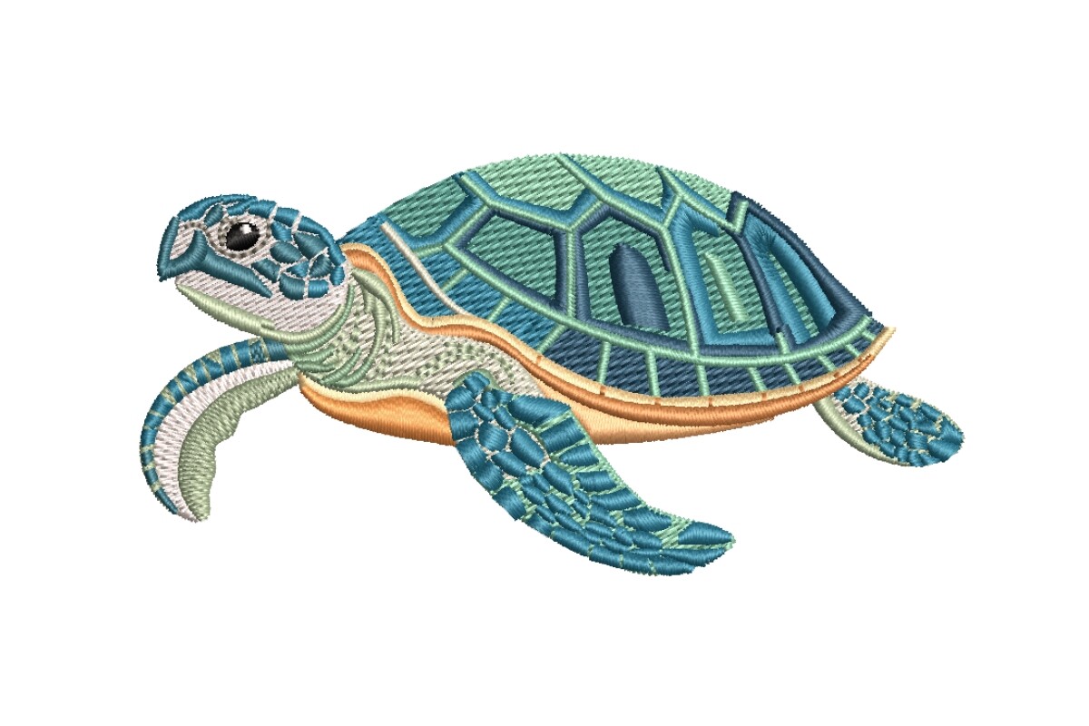 Turtle