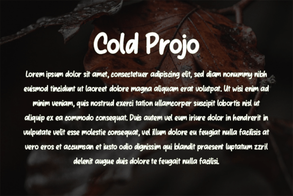 Cold Projo Font - Preview 2