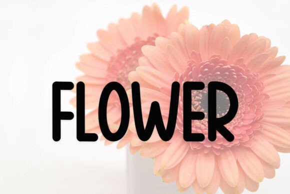 Limited Edition Font PNG with transparent background - Preview 3