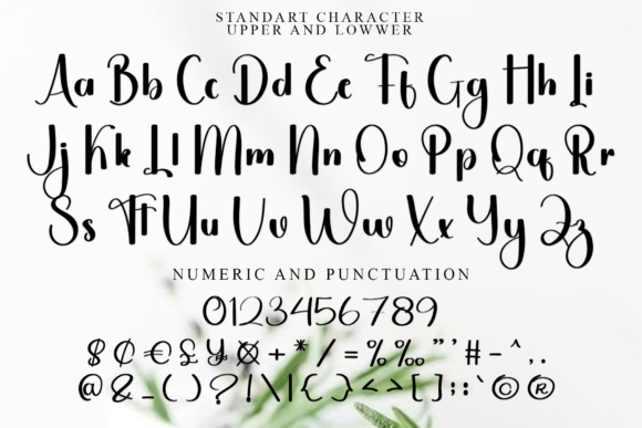 Daisy Magnolia Font - Preview 4