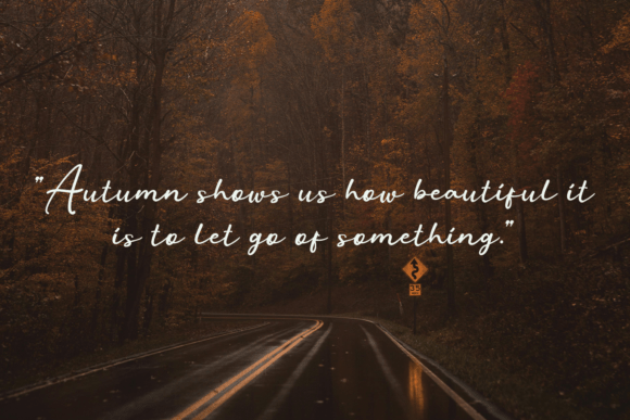 Autumn Font - Preview 3