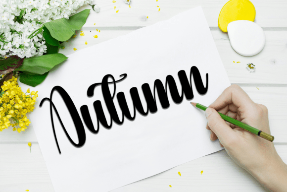 Signature Calligraph Font PNG with transparent background - Preview 2