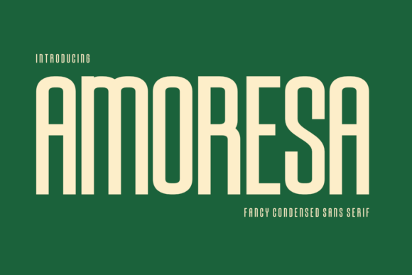 Amoresa Font by CraftedType Studio · Creative Fabrica font preview