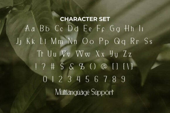 Casaba Melon Font - Preview 4