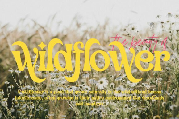 Blink Omega Font - Preview 3