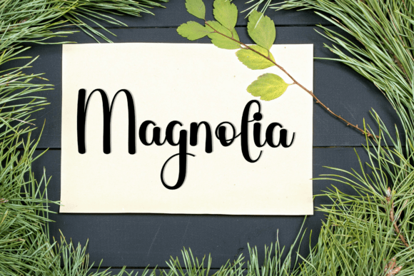 Christmas Signature Font - Preview 4