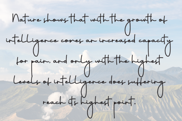 California Font - Preview 5
